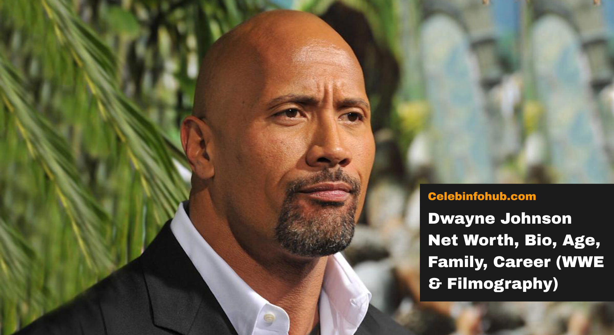 Dwayne Johnson Net Worth, Bio, Age, Family, Career (WWE & Filmography)